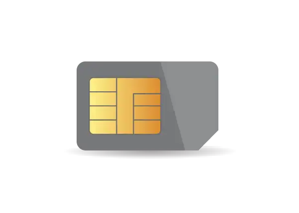 A gray and gold SIM card.