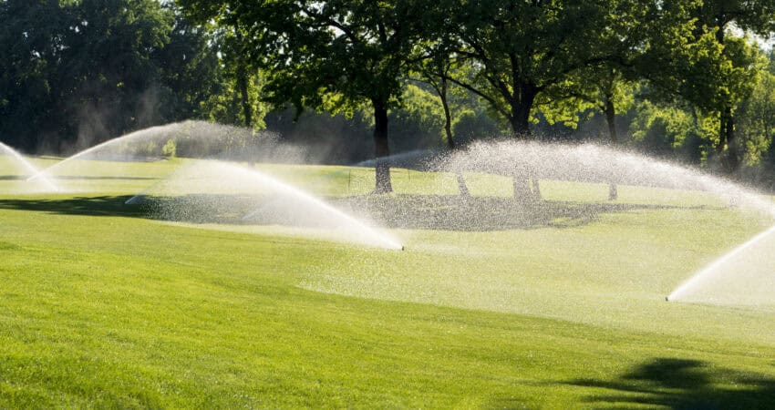 City park: Fresh green grass and water drops over it sparkling in sunlight.